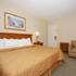 Standard King/Pullout Sofabed room photo
