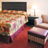 Comforting King room photo