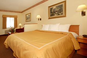 Suite with One King Bed and Sofabed room photo