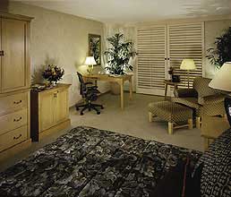Deluxe Valley View Room room photo