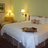 Standard King Room room photo