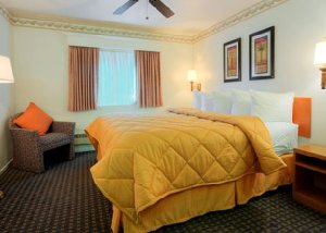 One Double Bed room photo