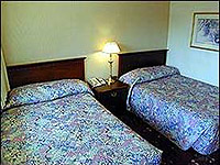 Two Beds room photo