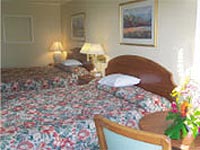 Standard room photo
