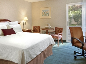 Standard King room photo