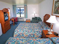 Family Suite room photo