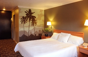 King Room room photo