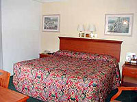 Standard Room room photo