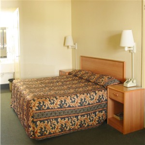 one king bed photo