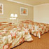 Standard Room with 2 Beds room photo