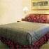 Standard Guest Room room photo