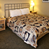1 King Bed - FREE Parking, Hi-Speed Wireless Internet Access room photo