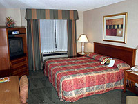 1 King Bed room photo