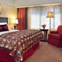 Traditional Suite - King room photo