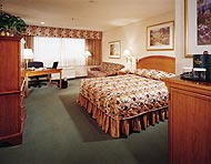 Deluxe King room photo