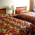 Standard Guestroom room photo