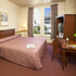 Standard Room with One King or Queen (max 2 persons) room photo