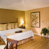 Accessible Premier - 1 King & 1 Daybed room photo