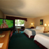 Notch View room photo