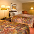 Deluxe Two Doubles Room room photo
