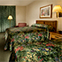 Deluxe Two Double Beds room photo