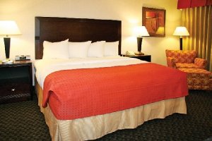 1 King Bed Leisure Non- Smoking + Full American Breakfast room photo