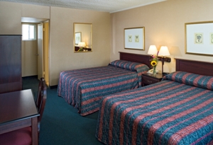 Traditional Two Beds room photo