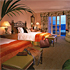 Palm Court King or Palm Court Double room photo