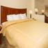 King Suite with Sofabed room photo