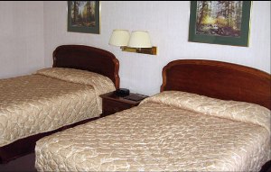 Pet Friendly Room room photo