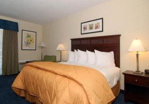 King (Non-smoking) room photo