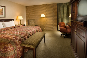 Deluxe King Bed room photo