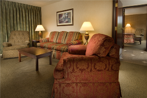 Deluxe Suite with One King Bed room photo
