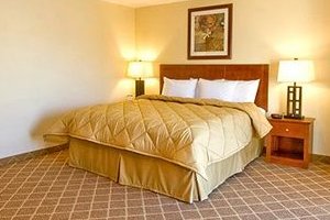1 King room photo