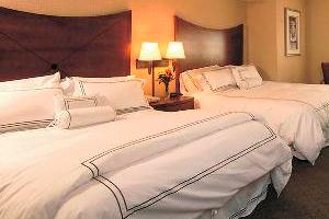 Junior Suite 2 Queen room photo